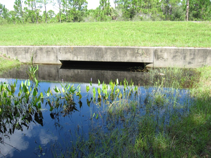 Concrete box culvert with grass above and water below, surrounded by greenery