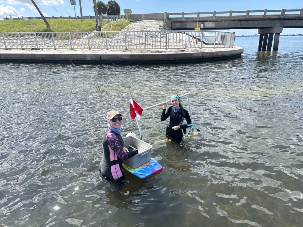 Two people in wetsuits collecting samples in water near a bridge