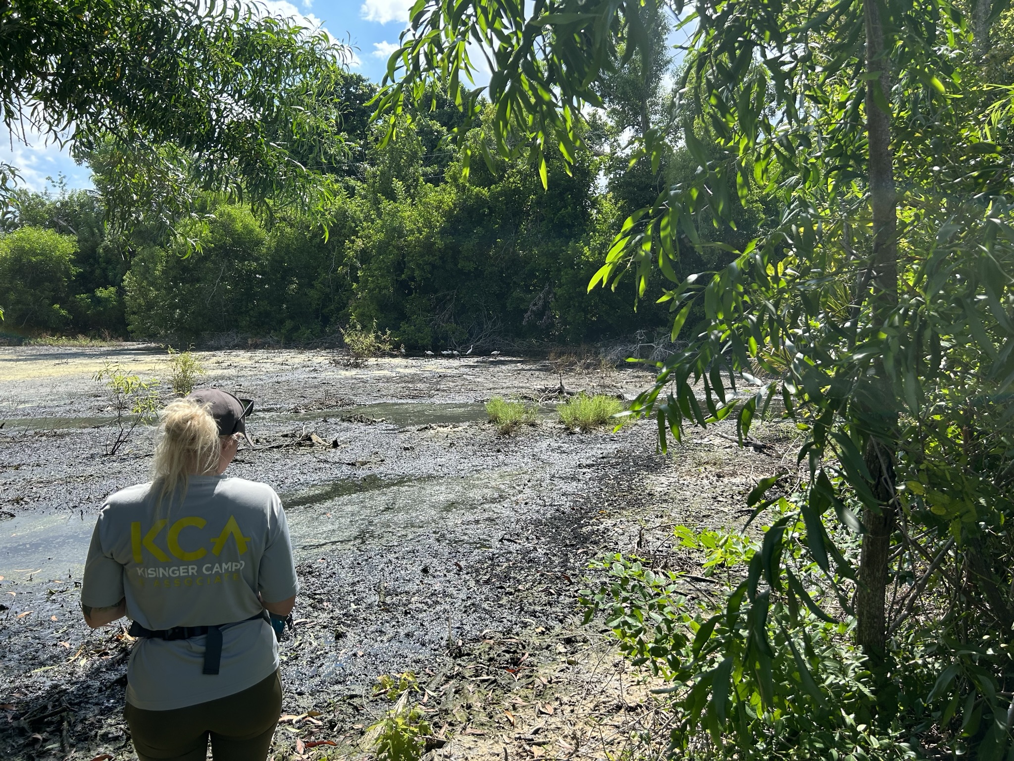Person in "Kissinger Camp" shirt observing a swampy area surrounded by lush greenery