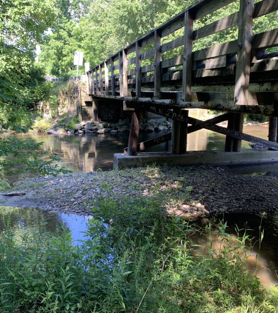 Wooden bridge over a small creek surrounded by lush greenery