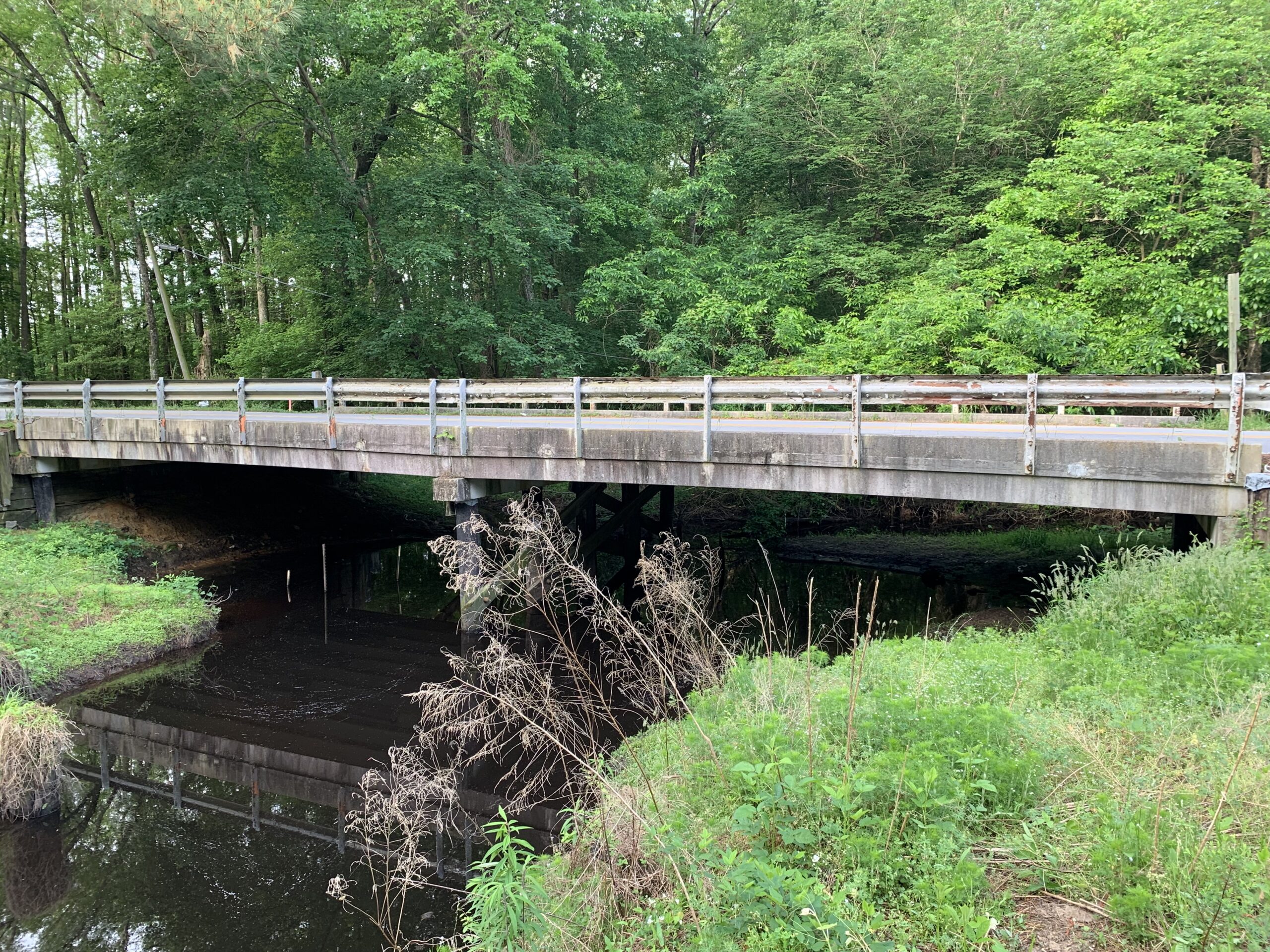 Wooden bridge over a small stream surrounded by lush green trees and vegetation