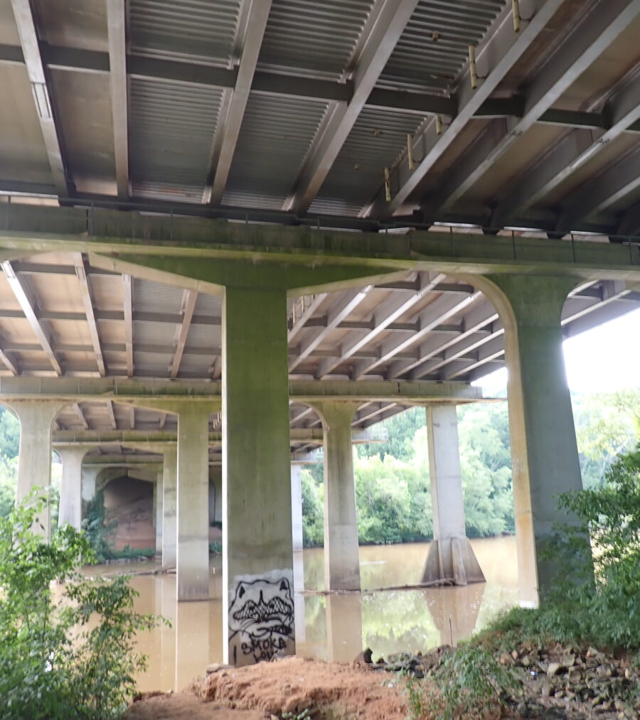 View under a large concrete bridge with greenery and graffiti visible