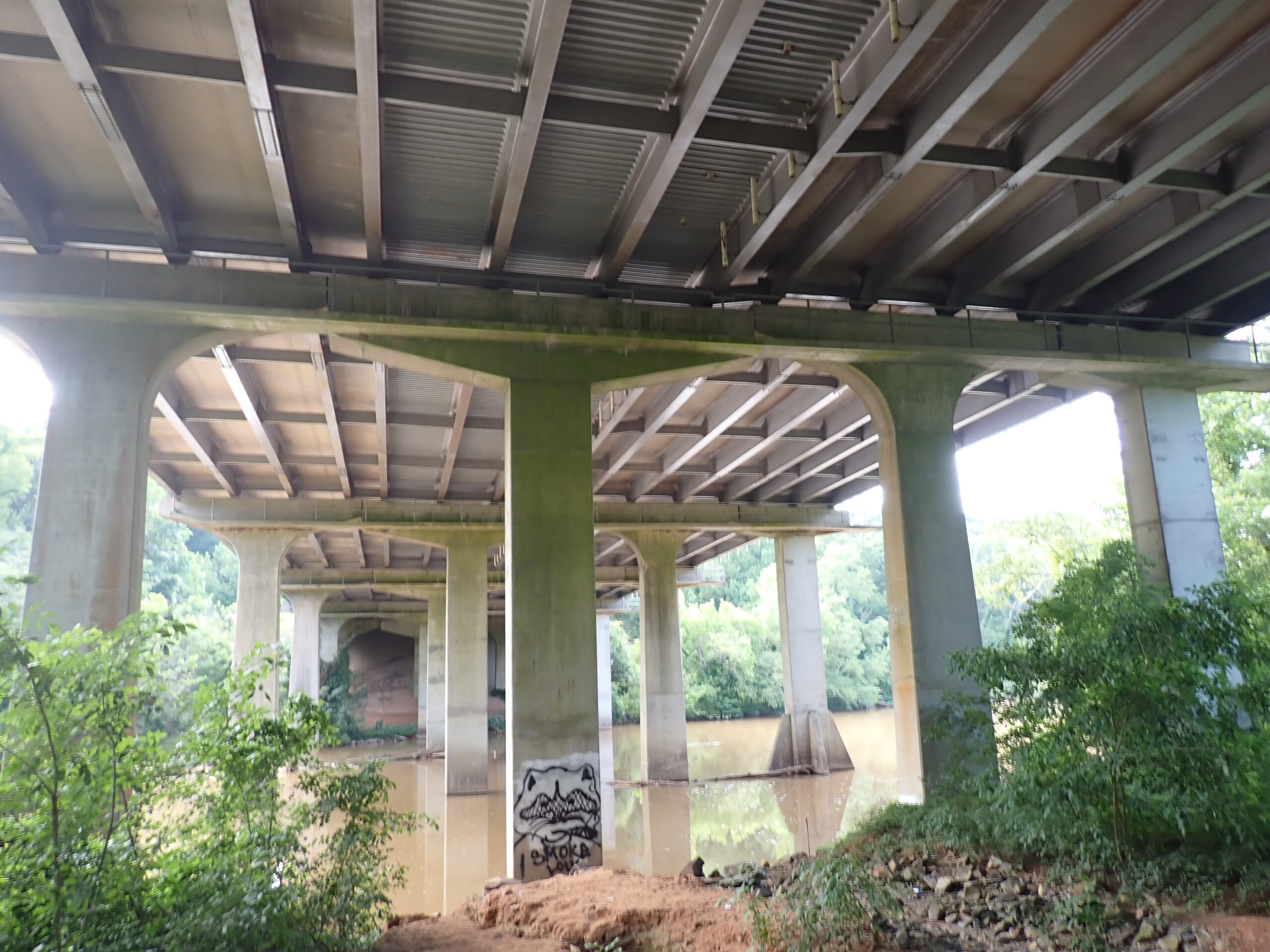 View under a large concrete bridge with greenery and graffiti visible