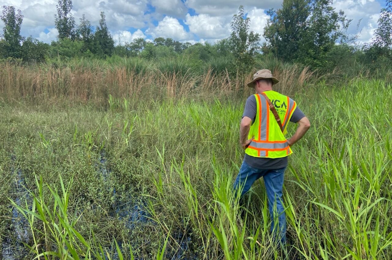 KCA Environmental Scientist assessing a wetland area, wearing a neon safety vest