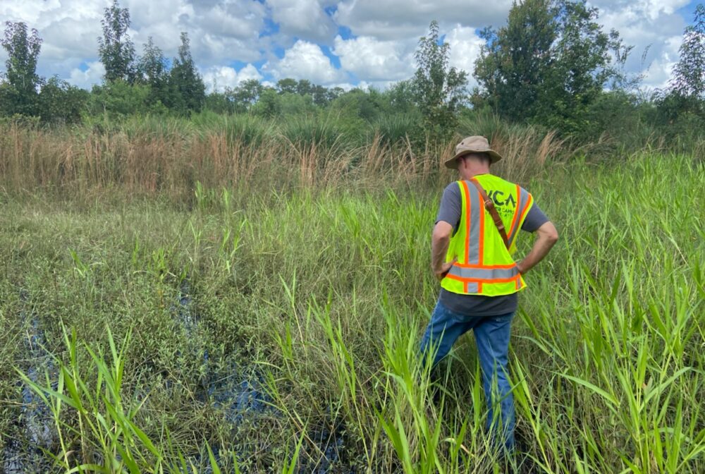 KCA Environmental Scientist assessing a wetland area, wearing a neon safety vest