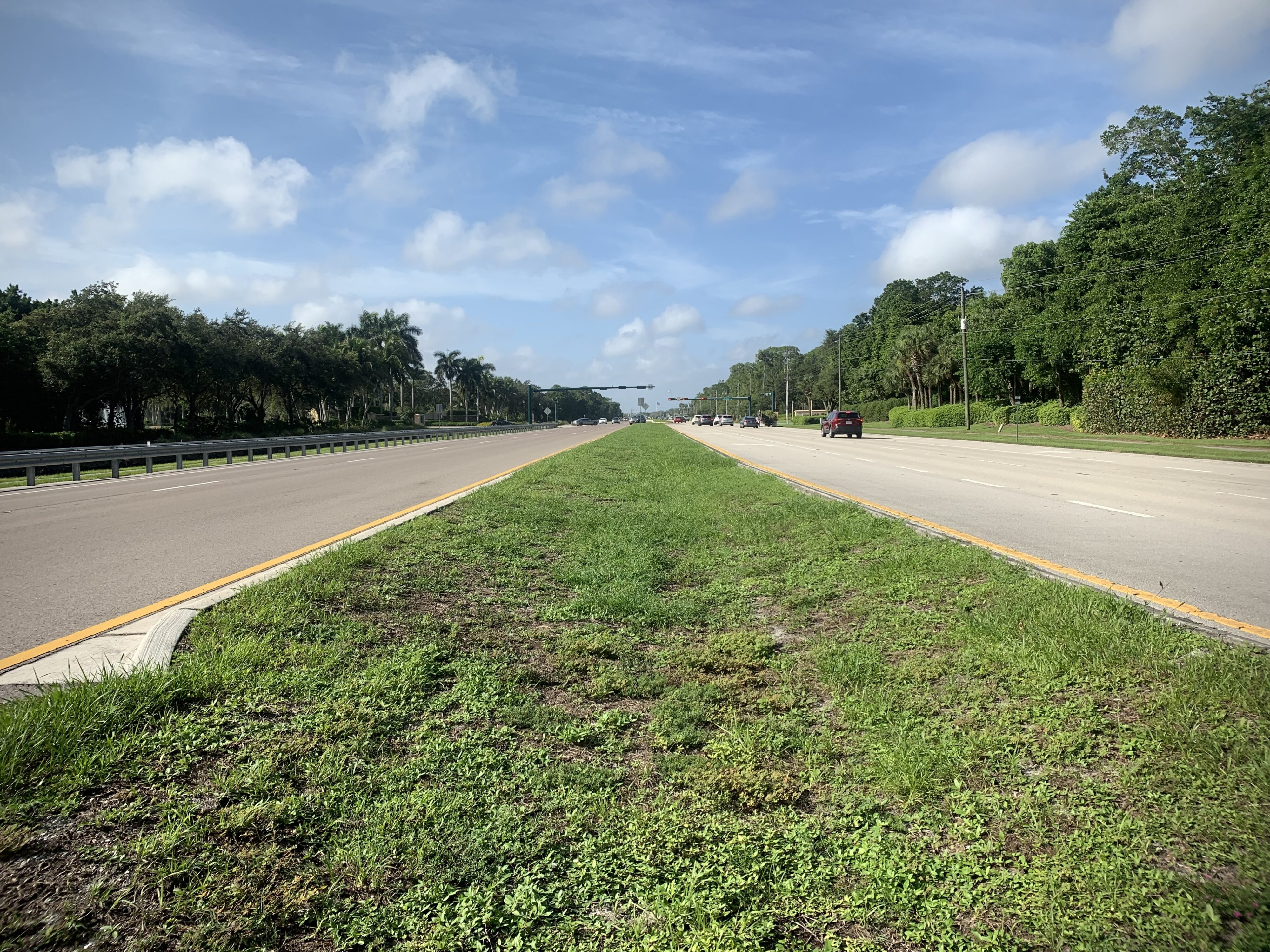 Wide two-lane road with grassy median, trees lining both sides, and scattered cars under a blue sky
