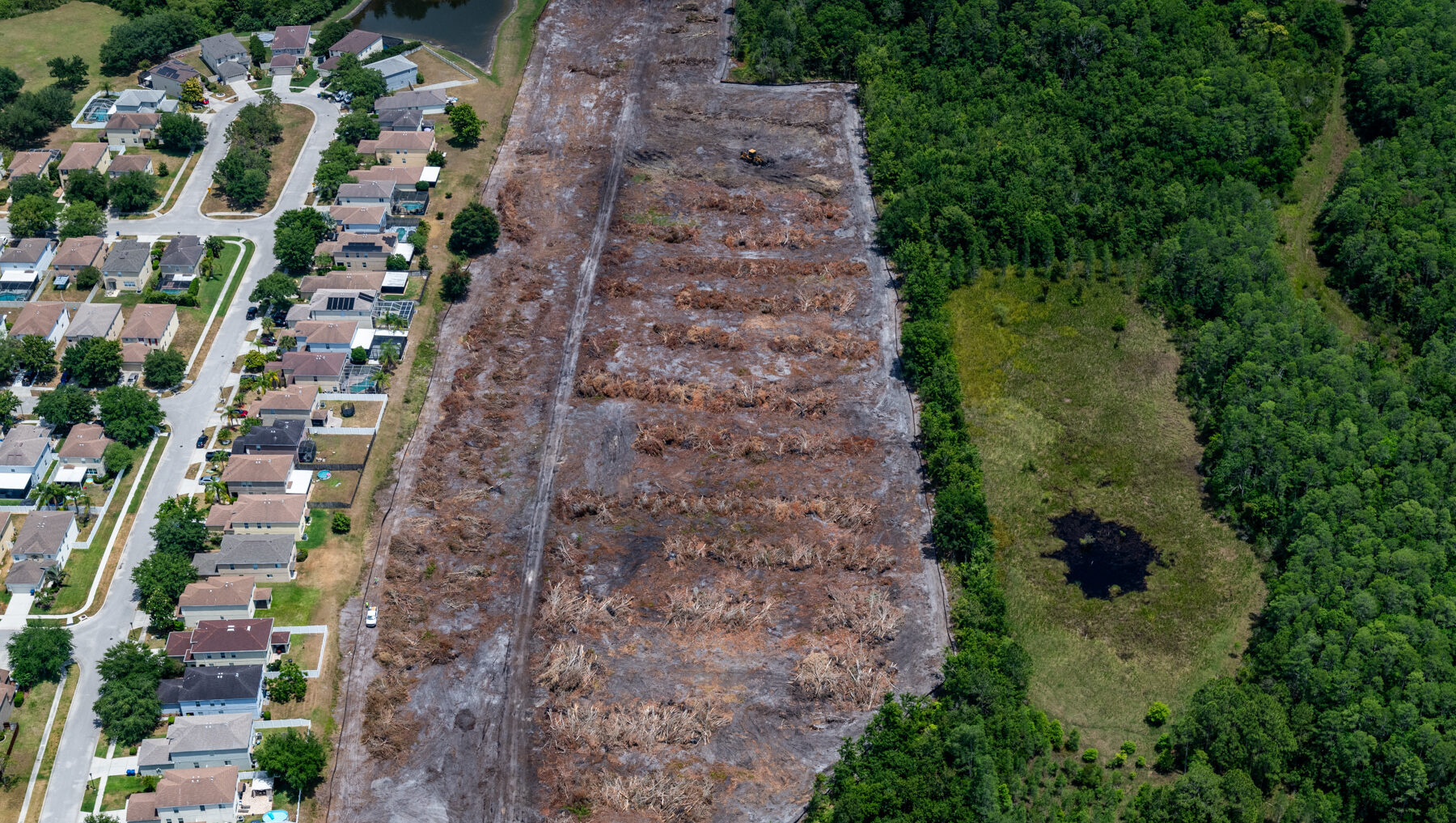 Cleared land next to suburban houses and dense green forest