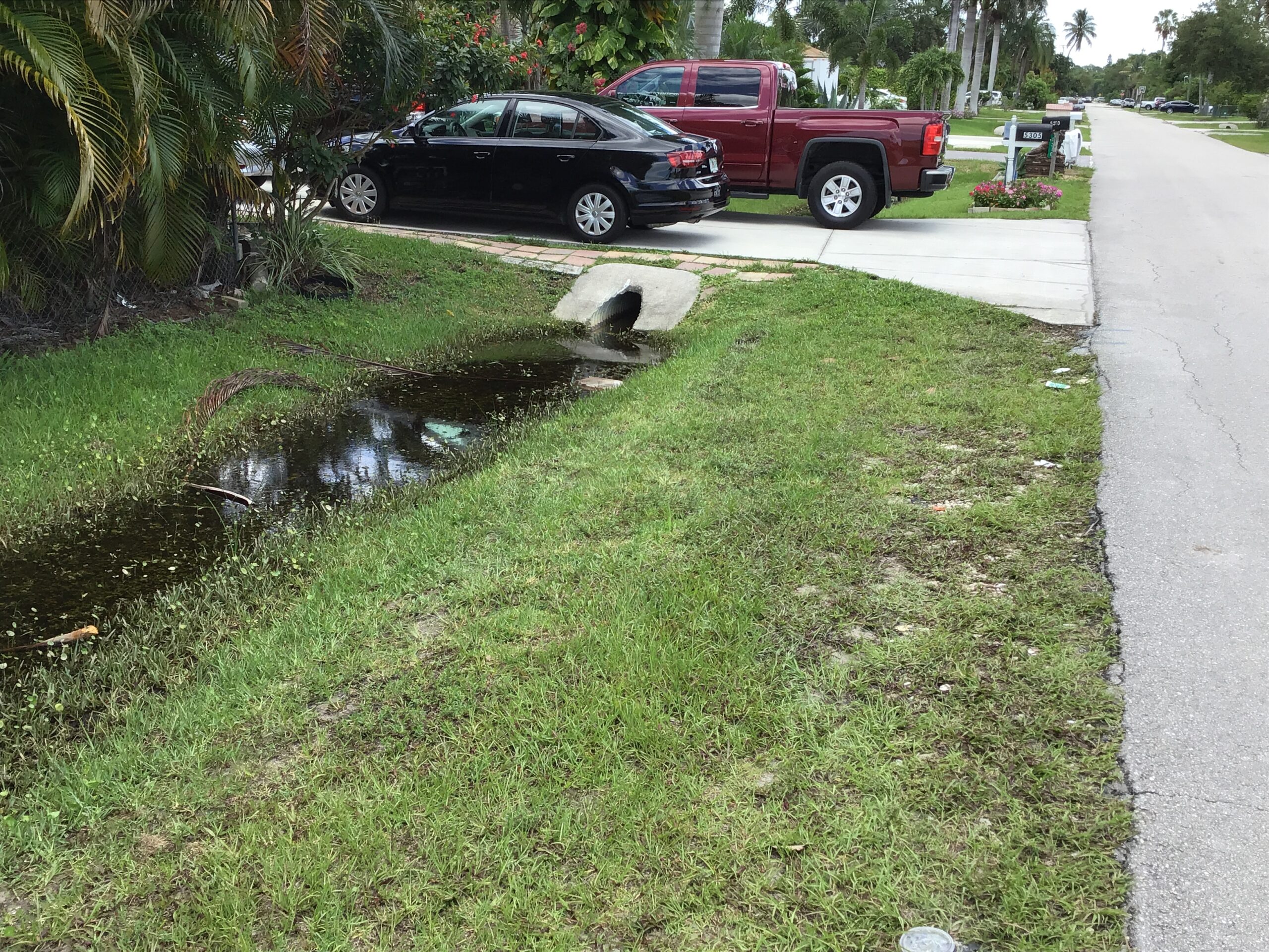 Drainage ditch with standing water beside a residential street and parked cars