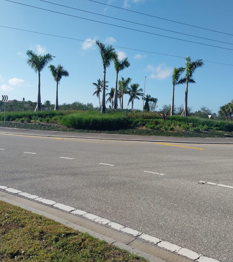 Roundabout with palm trees and clear blue sky