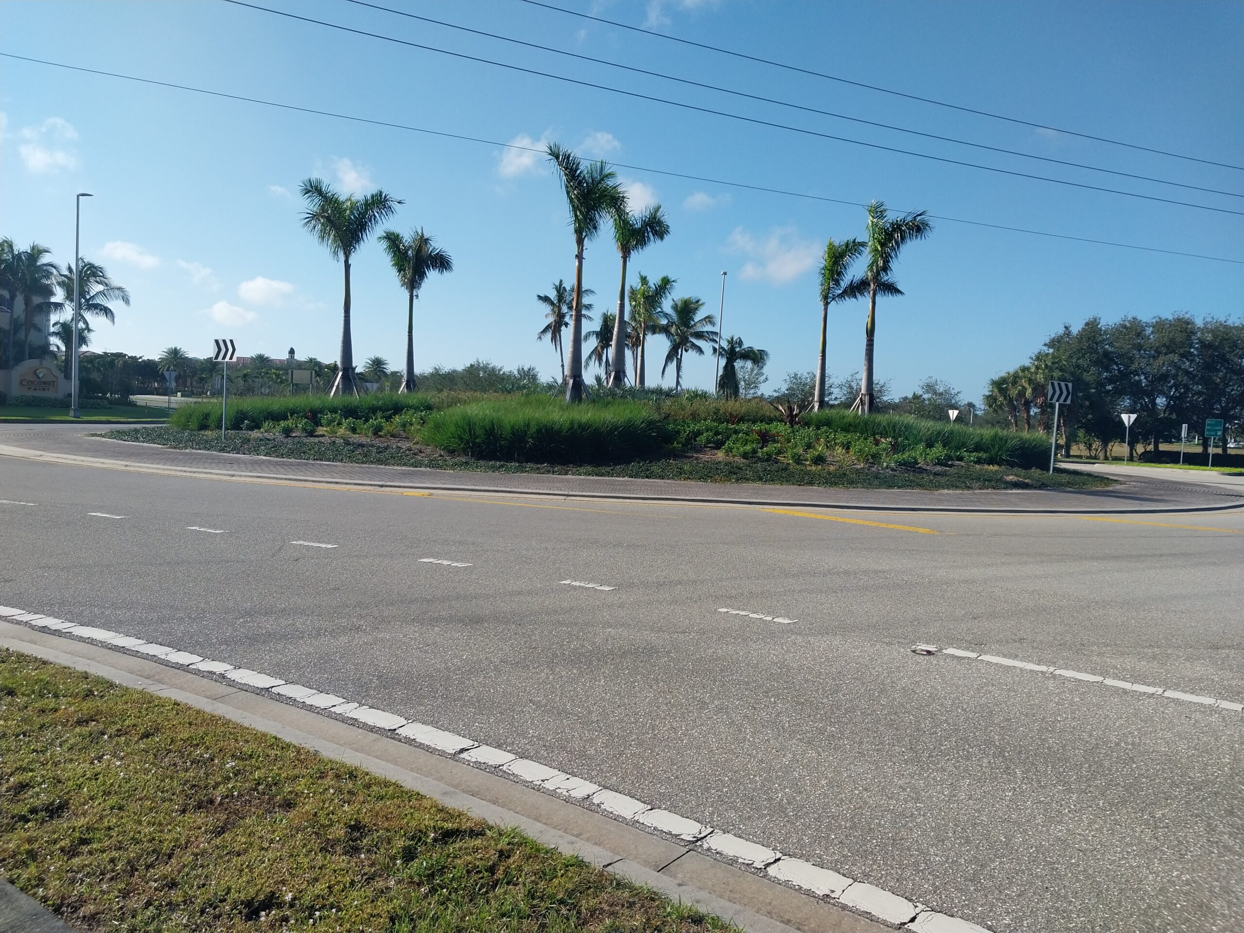 Roundabout with palm trees and clear blue sky
