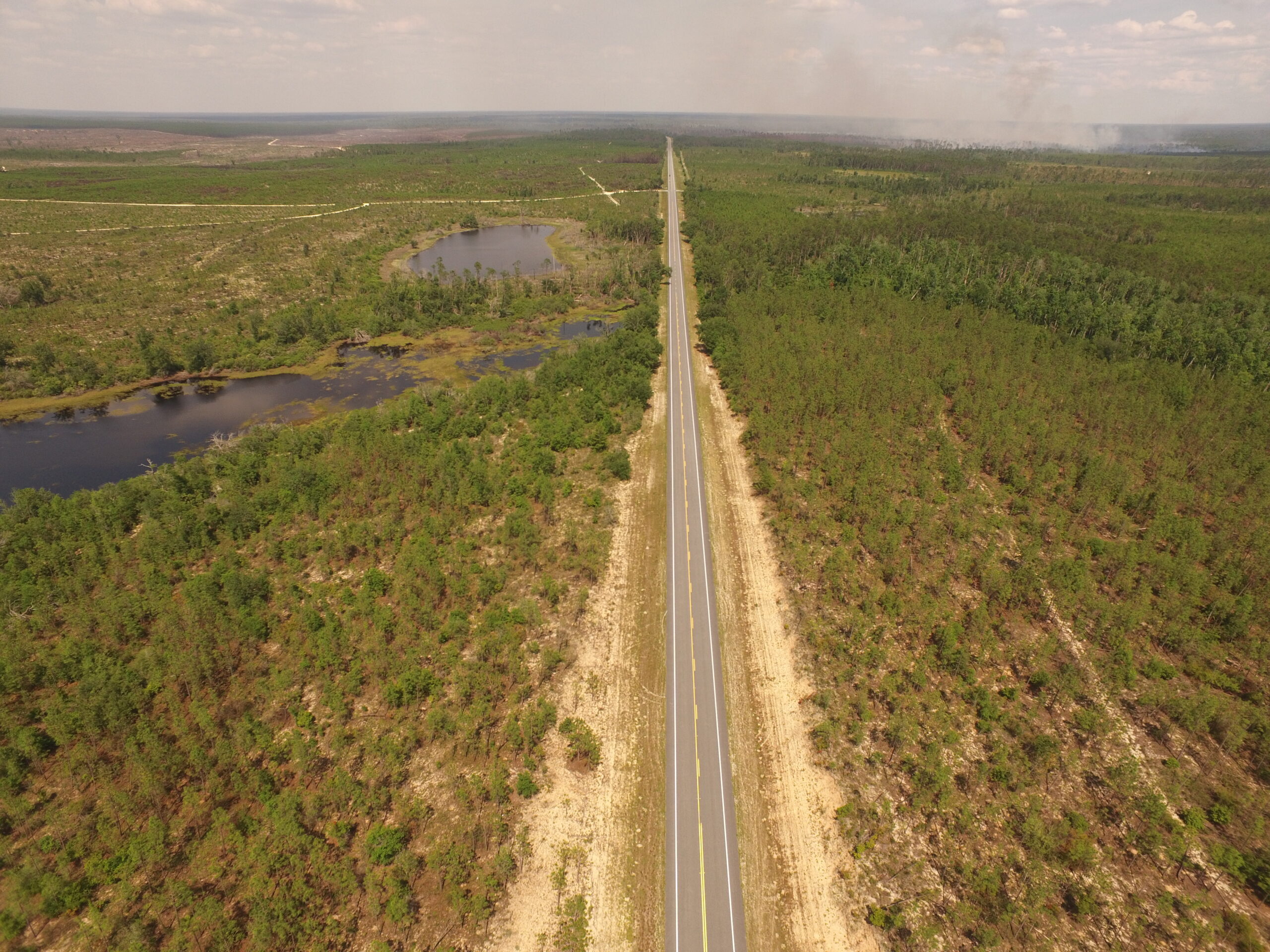 Aerial view of a straight road through dense forest, two ponds visible