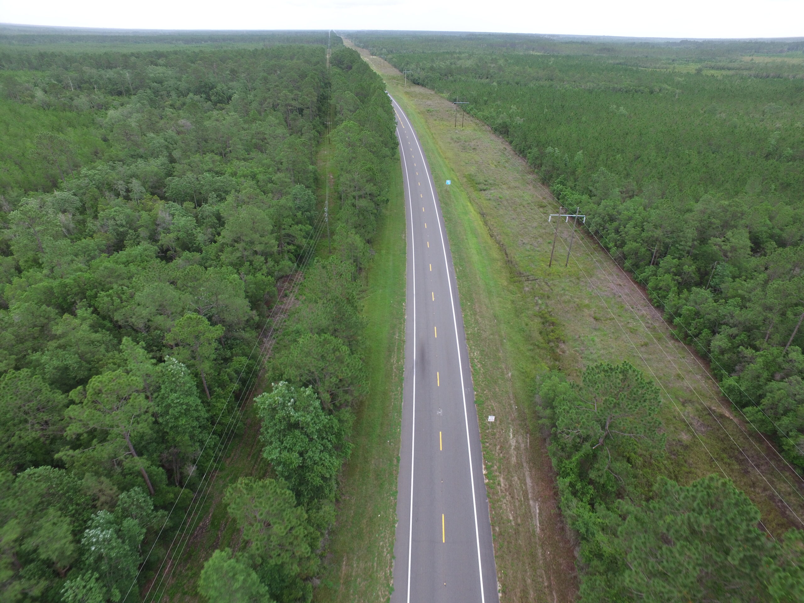 Aerial view of a straight, narrow road surrounded by dense green forest on both sides