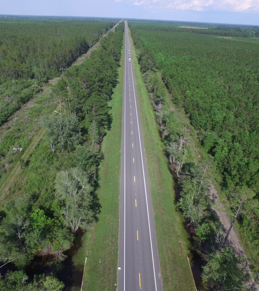 Straight road cutting through dense green forest, aerial view