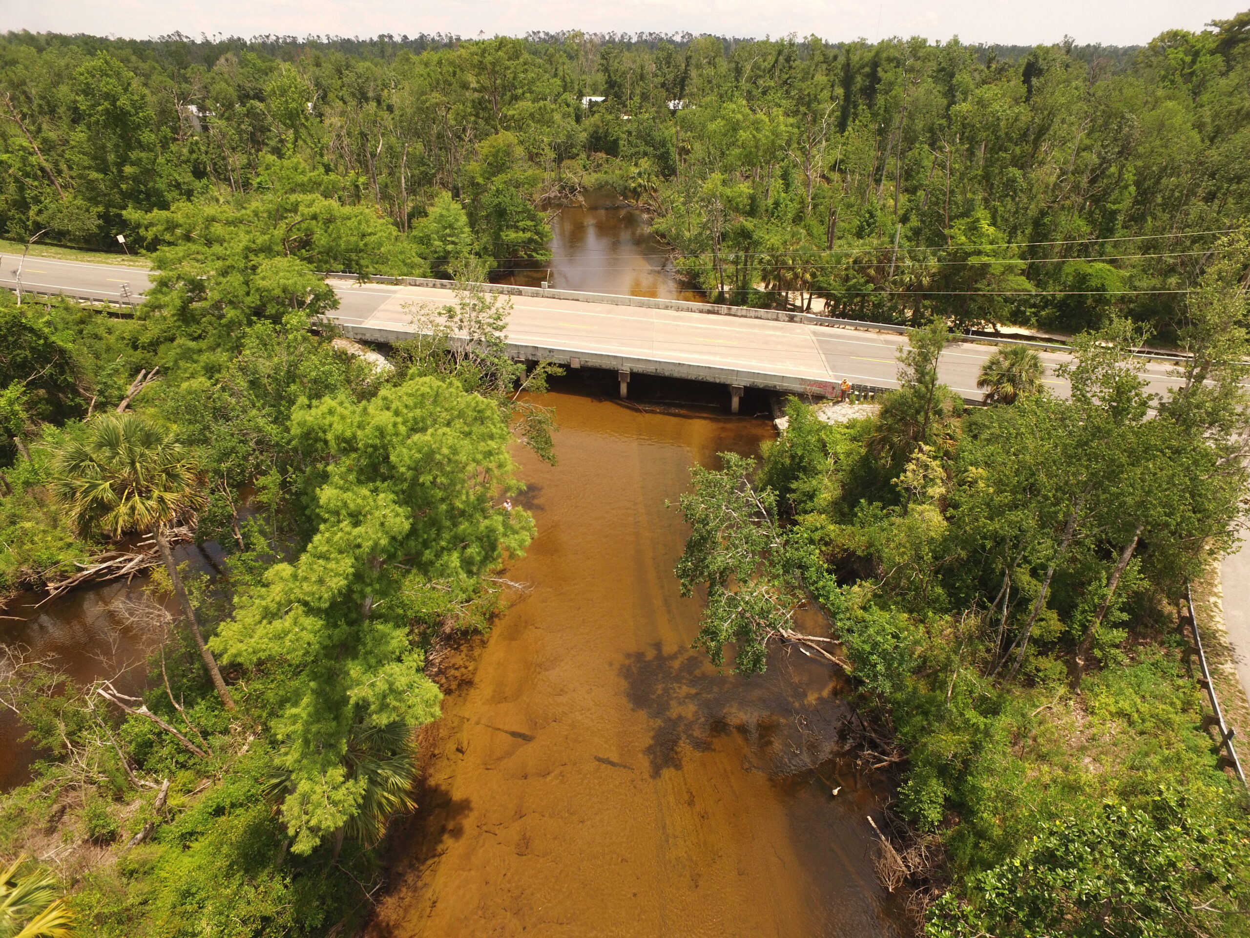 Bridge over a brown river surrounded by lush green trees