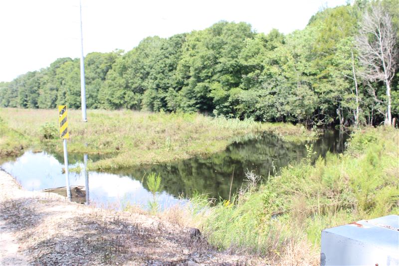 Wooded area with a reflective waterway, grass, traffic sign, and power pole