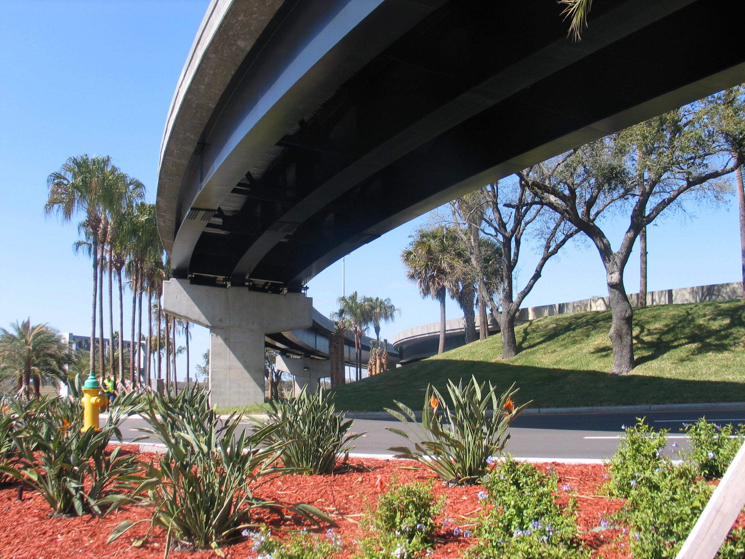 Overpass with landscaped area, palm trees, fire hydrant, and clear sky