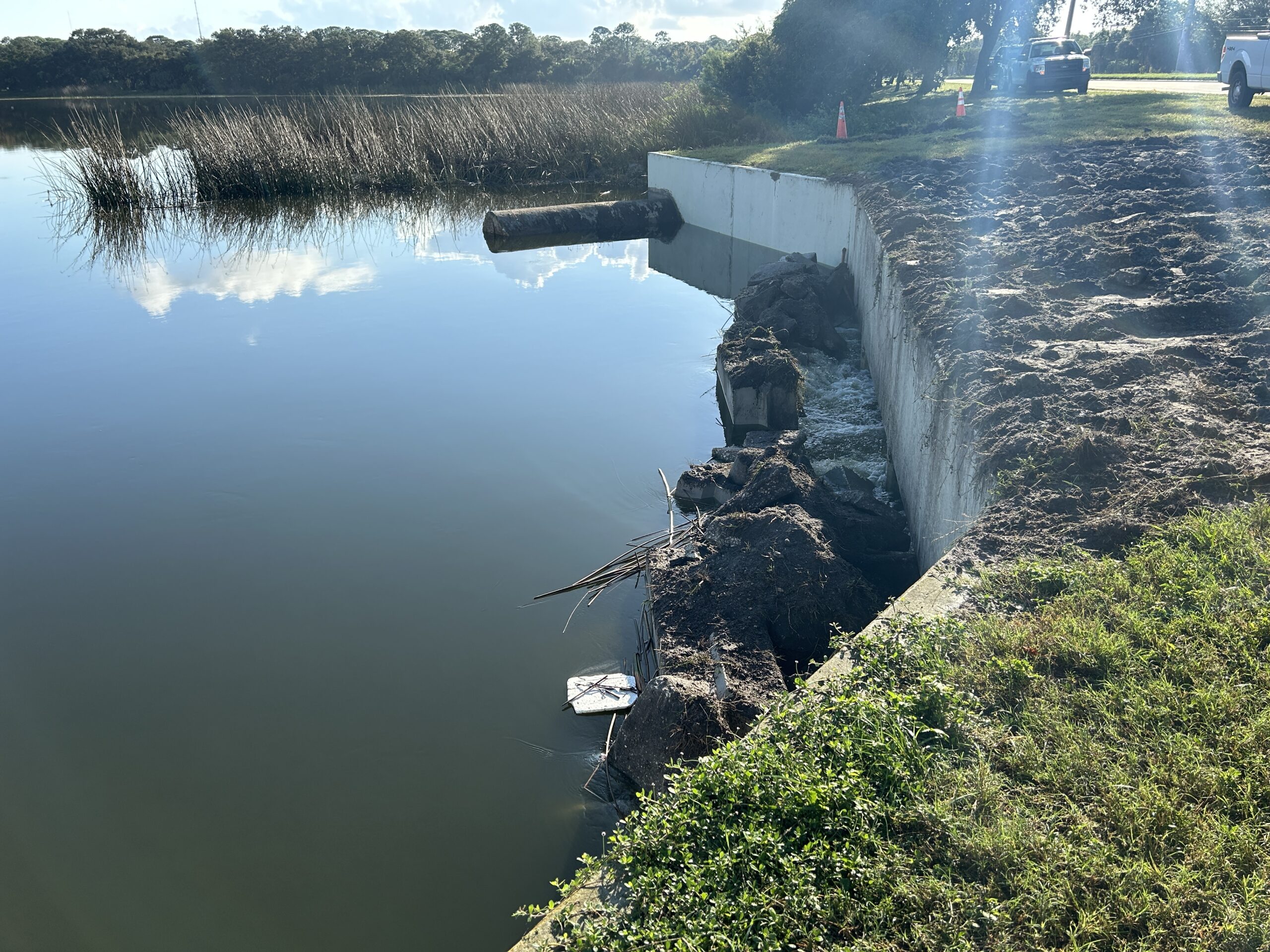 Erosion near concrete wall by a calm lake with tall grass