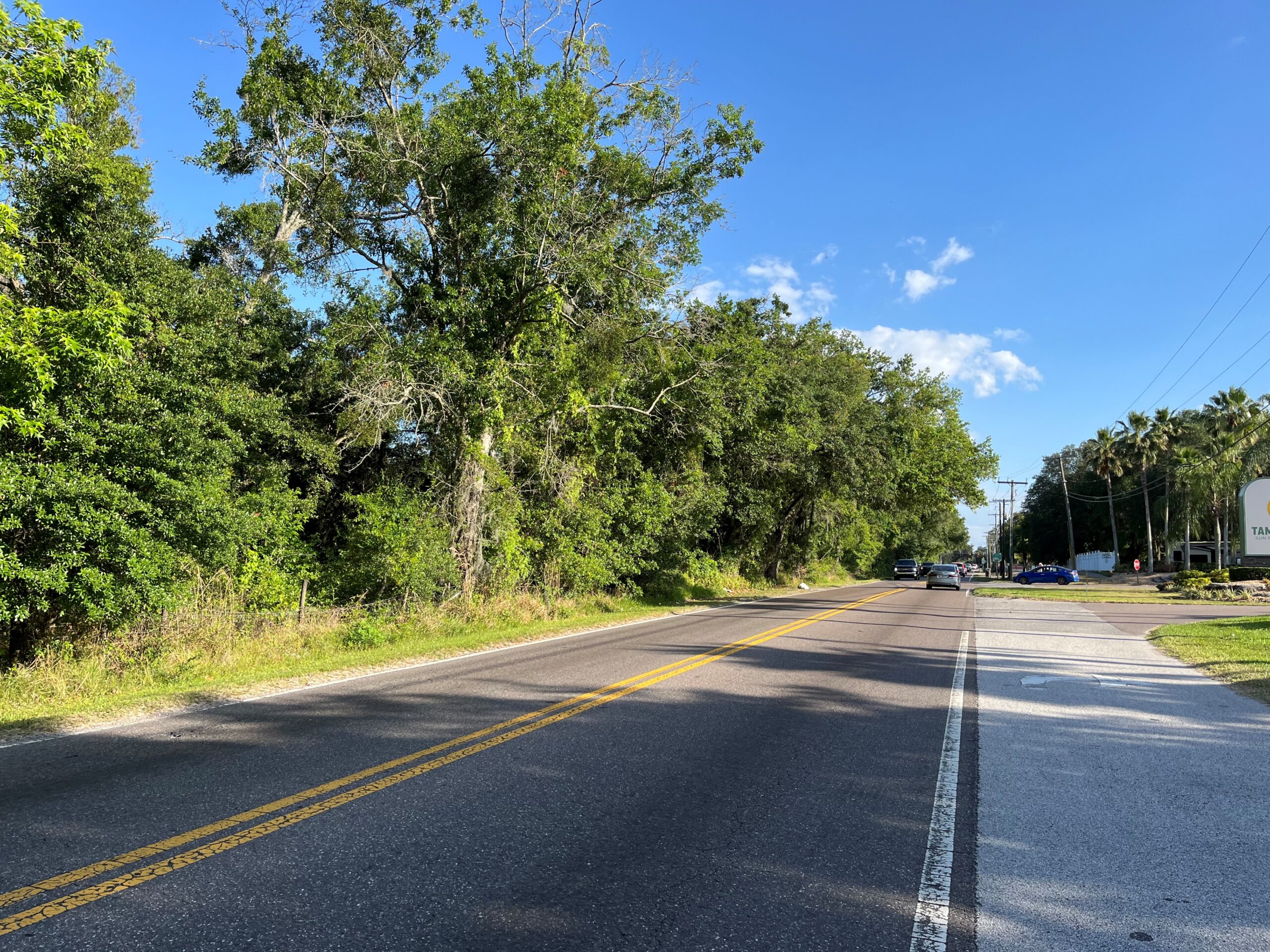 Two-lane road bordered by lush green trees under a clear blue sky