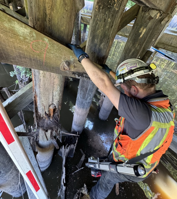 Inspector examining damaged wooden bridge support beams over water. Visible number "9" written on beam