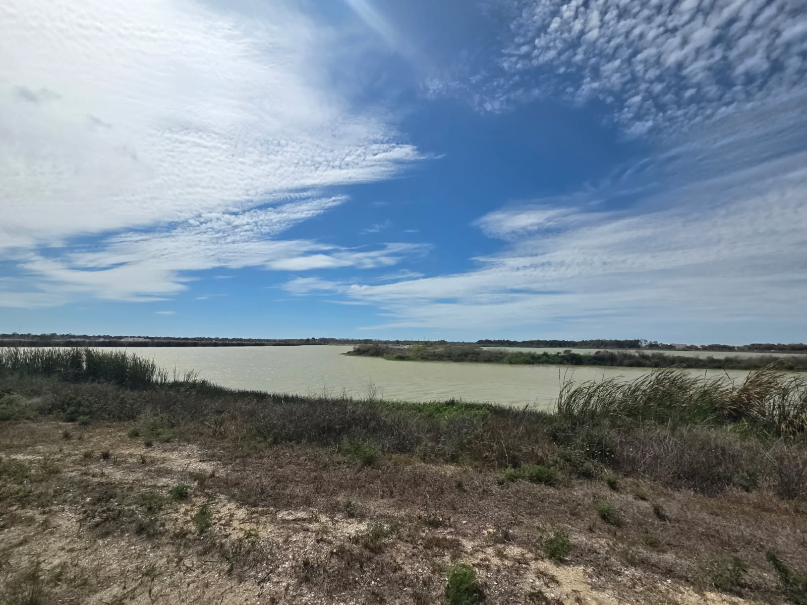 Vast landscape with a cloudy blue sky over a calm river, surrounded by shrubs and grass