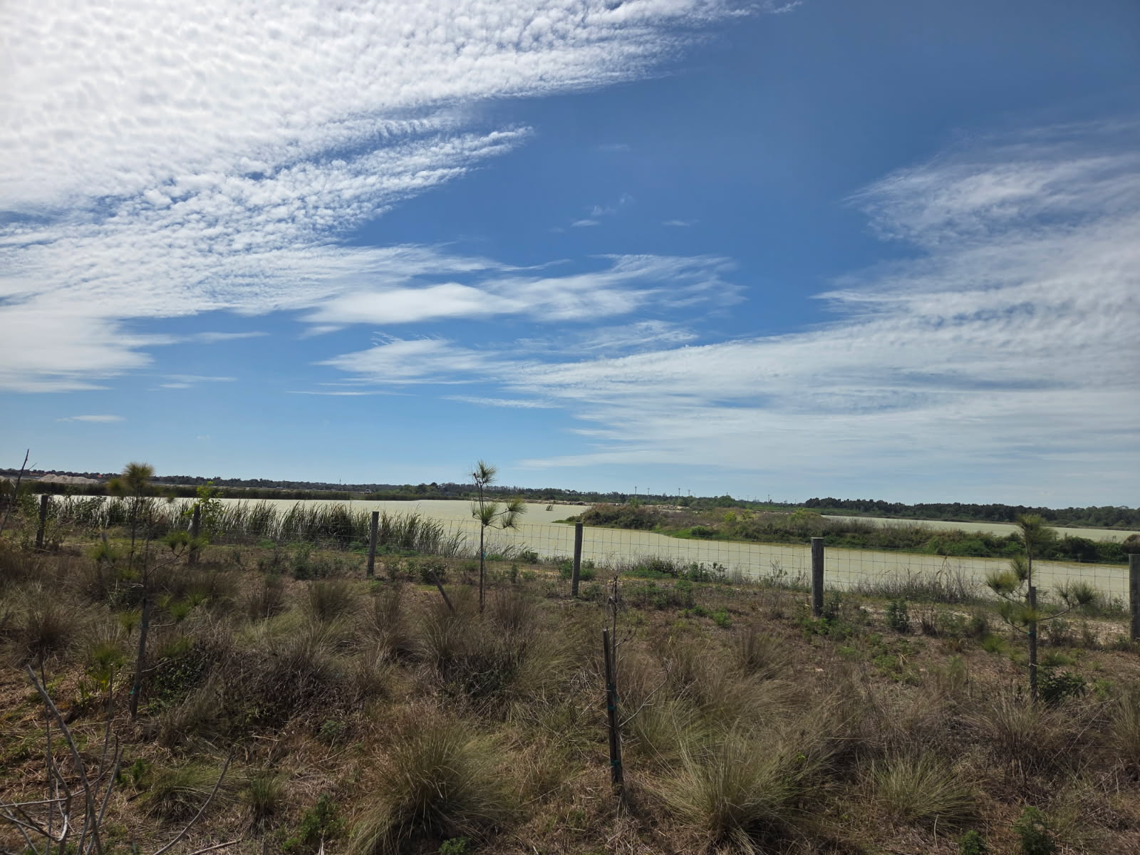 Open field with a wooden fence, under a blue sky with wispy clouds