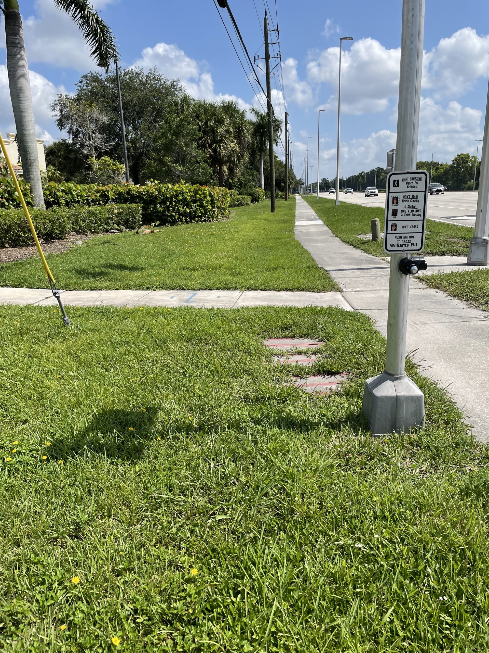 Sidewalk by grassy area with pedestrian crossing button labeled "Williams Rd" and traffic instructions