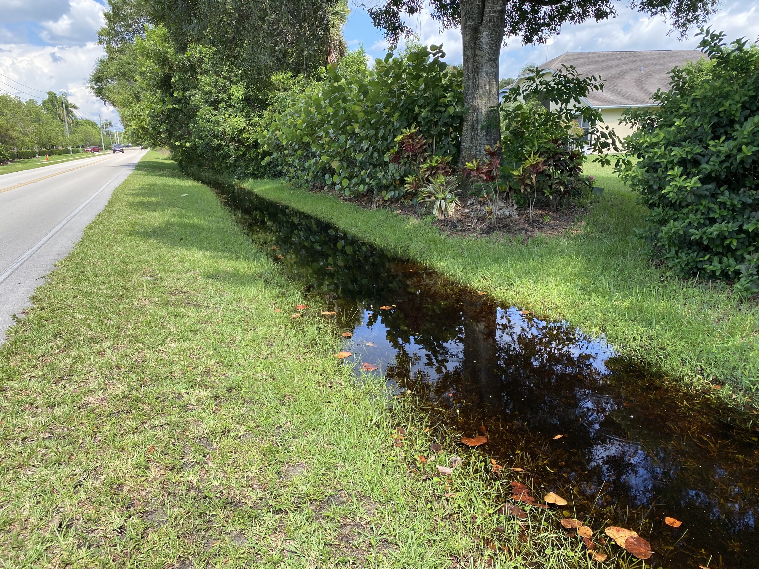 Roadside drainage ditch filled with water beside a residential lawn