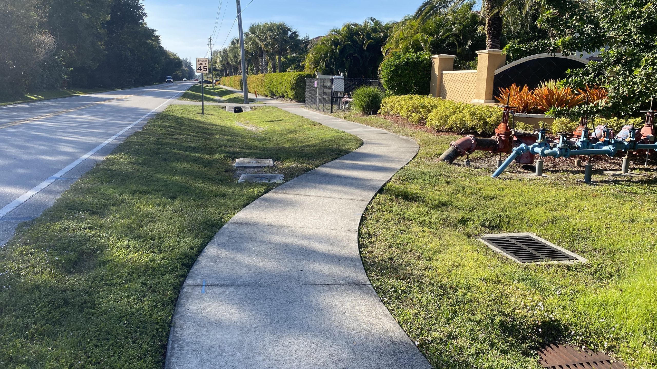Curved sidewalk beside a road with a 45 mph sign, bordered by grass and shrubbery