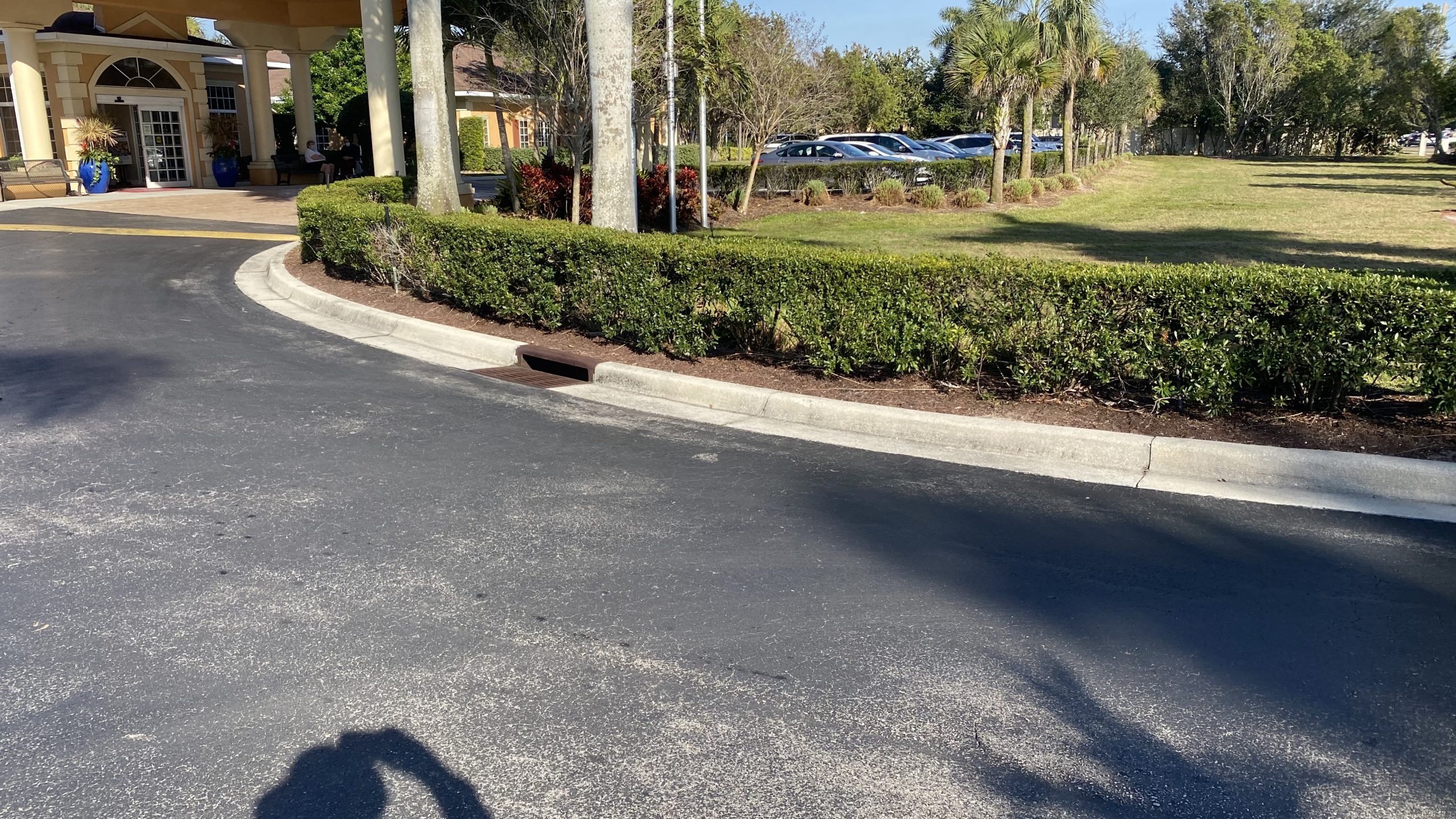 Curbside entrance with greenery, lined with parked cars and palm trees