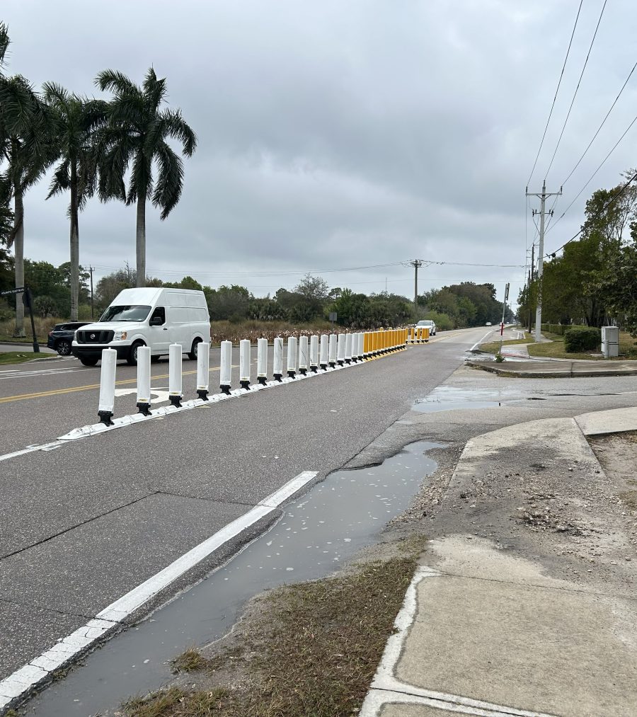 White traffic delineators on Williams Road dividing lanes, with a van and palm trees nearby on an overcast day